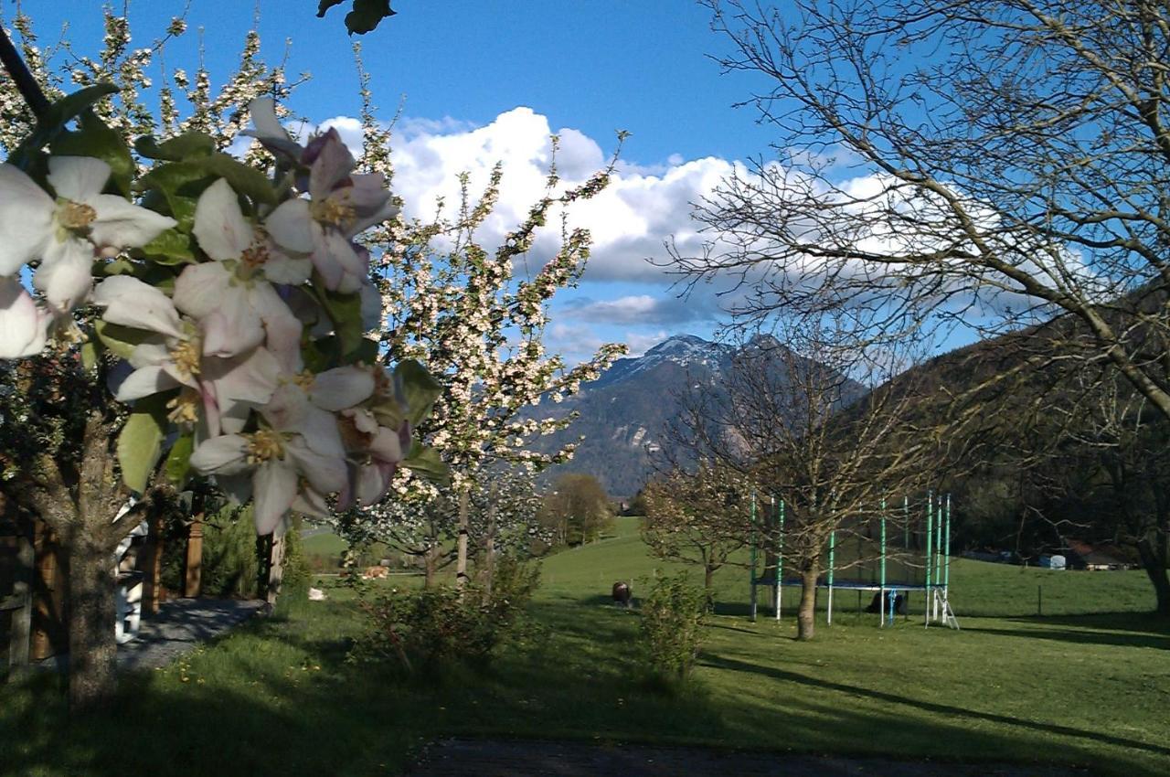 Hoderhof Daire Grassau  Dış mekan fotoğraf