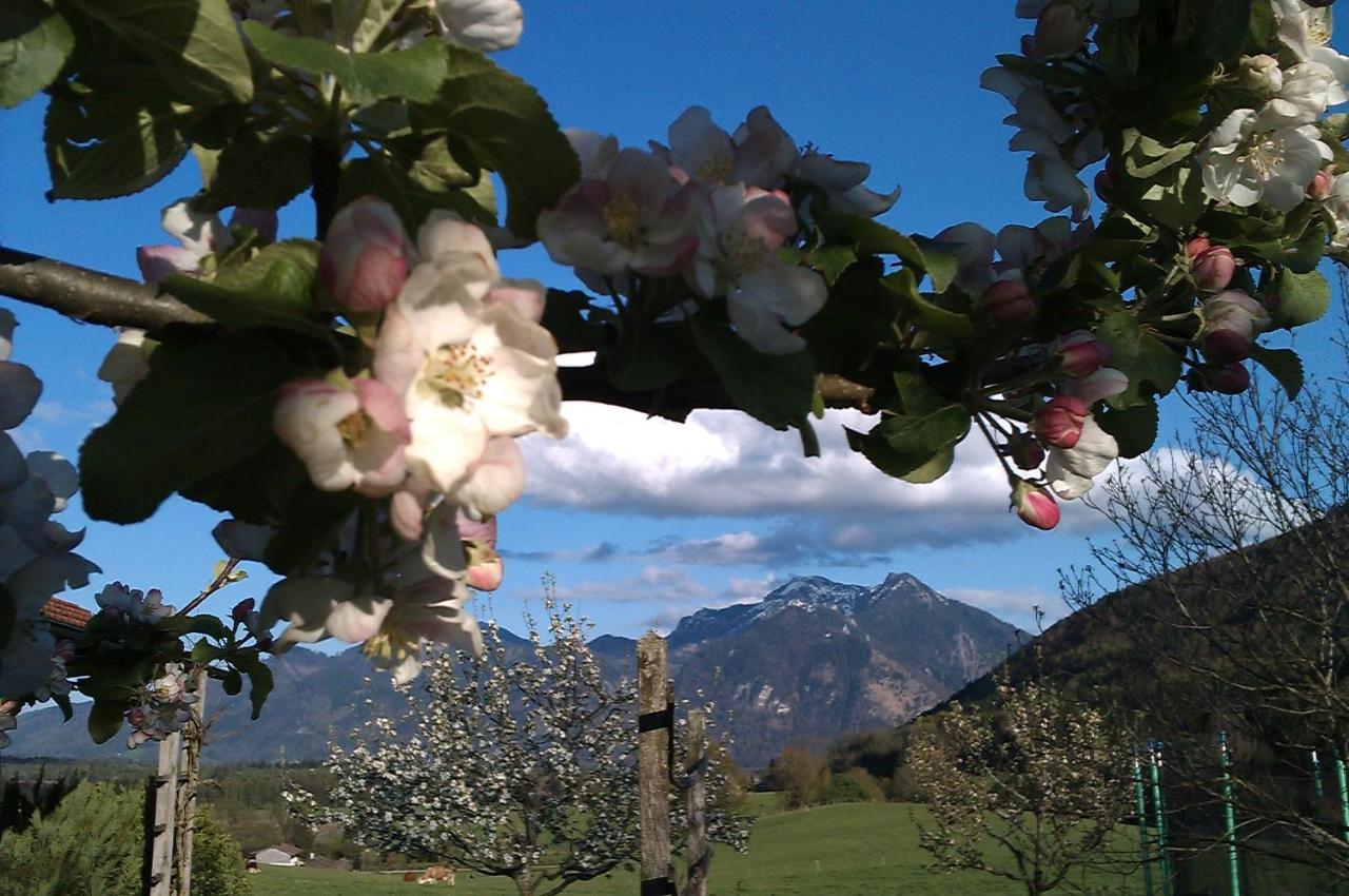 Hoderhof Daire Grassau  Dış mekan fotoğraf